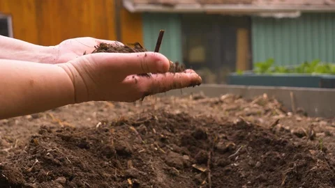 Dirty hands digging through high quality soil	 Stock Footage 122605573
