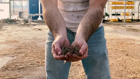 Dirty Hands in Greenhouse Stock Footage 136600316