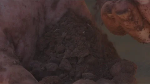 Dirty Hands in Soil Stock Footage 218419220