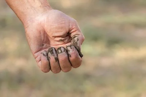 Dirty hands of the worker.Male hands in cement close-up. Stock Photos