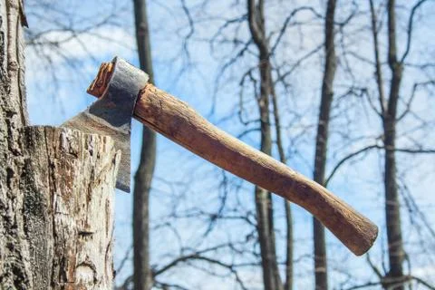 Dirty hatchet in tree Stock Photos