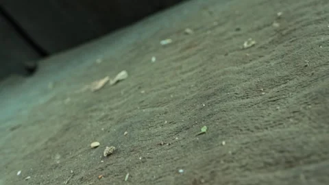 Dirty interior surface of car trunk before cleaning service, showing accumulated Stock-Footage 323911033