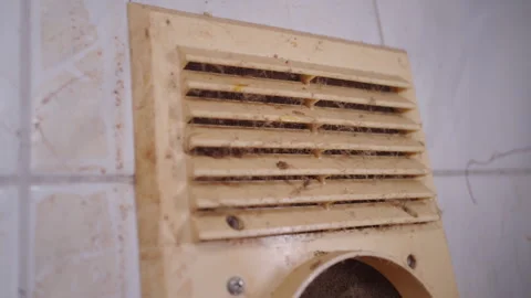 Dirty Kitchen Ventilation Grille Covered in Grease and Dust | Clogged Air Vent Stock Footage 343700665