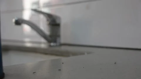 Dirty kitchen work place with ants and sugar Video stock 187979347