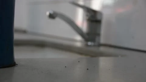 Dirty kitchen work place with ants and sugar Stock-Footage 187979594