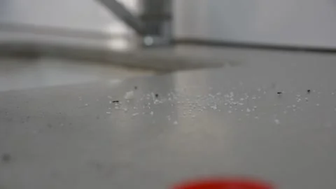 Dirty kitchen work place with ants and sugar Video stock 187979595
