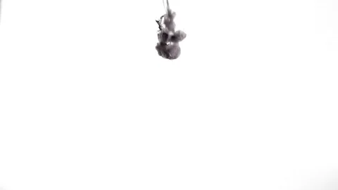 Dirty Lumpy Ink In Water On White Background Stock Footage 72248942