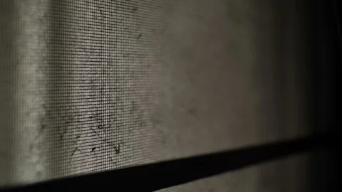 Dirty mosquito wire screen in haunted house Stock Footage 94485846