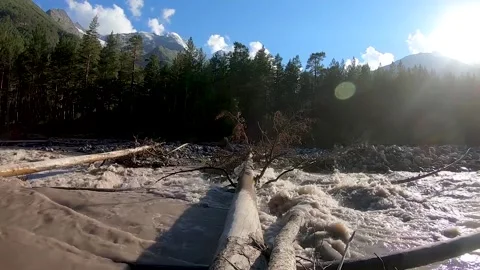 Dirty mountain river and fallen tree Stock Footage 150707300