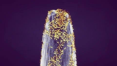 Dirty needle Video stock 333636883