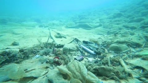 Dirty Ocean Floor Stock Footage 143423239