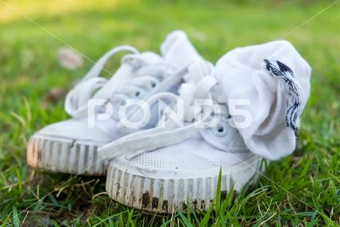 The dirty old canvas shoe was used as training shoe is on the grass Stock Photos