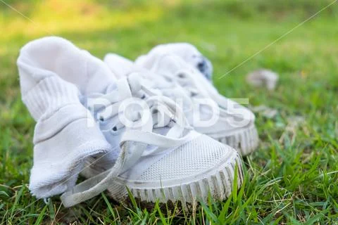 The dirty old canvas shoe was used as training shoe is on the grass Stock Photos