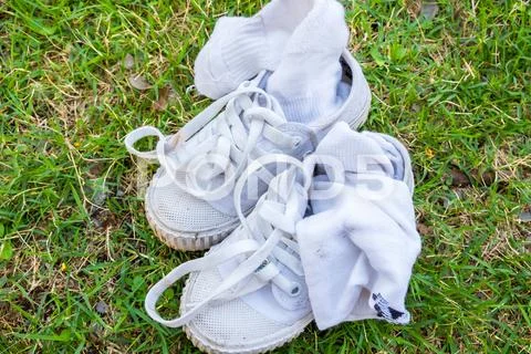 The dirty old canvas shoe was used as training shoe is on the grass Stock Photos