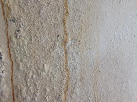 Dirty old cement wall texture for background 库存照片