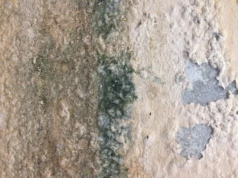 Dirty old cement wall texture for background Foto stock