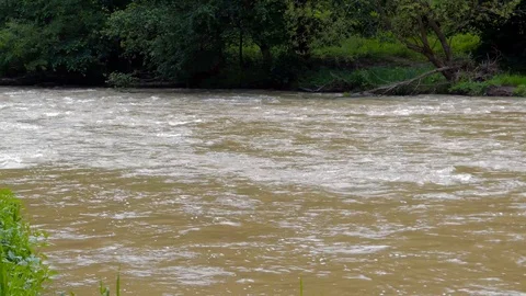 Dirty Olt river in Romania Stock Footage 89967844