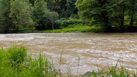 Dirty Olt river in Romania Stock Footage 89968195