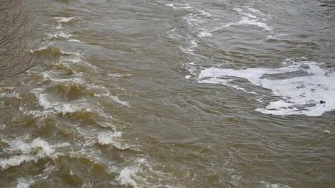 Dirty Olt river at springtime Stock Footage 104787931