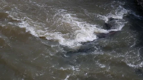 Dirty Olt river at springtime Stock Footage 104787943