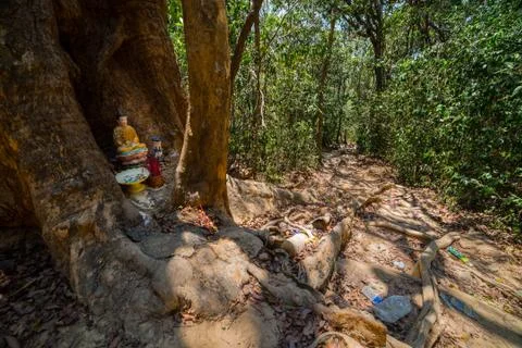 Dirty path and small temple in the jungle. Stock Photos
