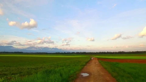 Dirty path leading among fields and pastures toward 動画素材 80020964