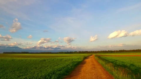 Dirty path leading among fields and pastures toward 動画素材 80021076