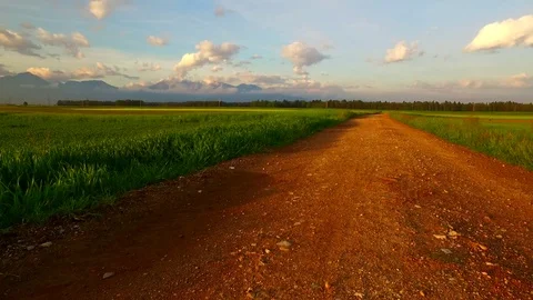 Dirty path leading among fields and pastures toward 動画素材 80021206