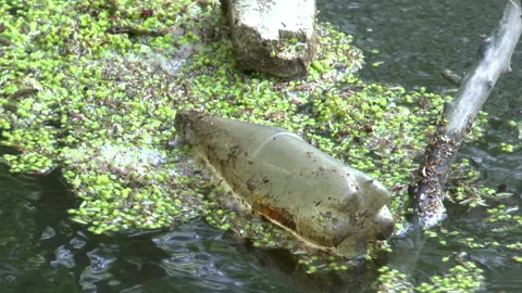 Dirty plastic bottle floating in river Stock Footage 133200697