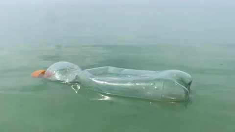 Dirty plastic bottle floating in the sea Stock Footage 277608482