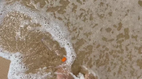 Dirty plastic bottle washed up on the beach Stock Footage 277608155