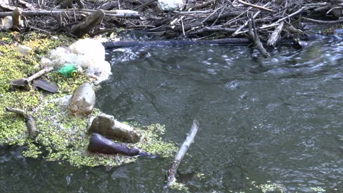 Dirty plastic bottles floating in river Stock Footage 133201508
