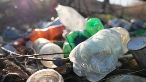 A dirty plastic garbage lies on the grass in the forest, environmental poll.. 스톡 동영상 339662758