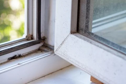 Dirty plastic window frame with dust and mold on the white surface indoors. h 库存照片