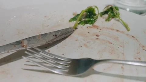 Dirty Plate With Knife and Fork After Meal Stock Footage 331491211