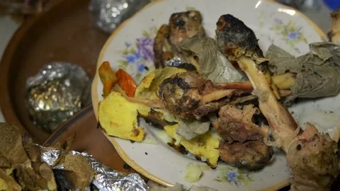 Dirty plates after a picnic Stock Footage 303413480