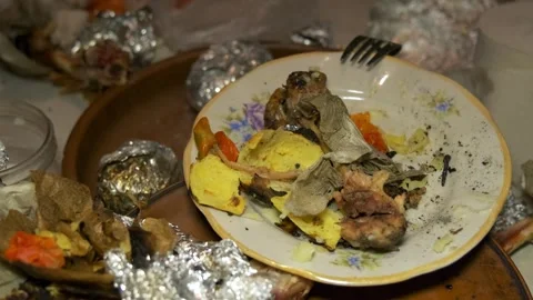 Dirty plates after a picnic Stock Footage 303413481
