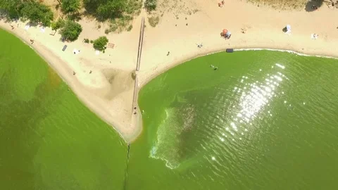 Dirty polluted beach shore in Black Sea pollution climate change Stock Footage 157101357