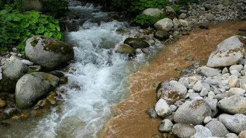 Dirty Polluted Water Flowing Into Clean Brook Stock Footage 80284347