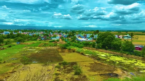 Dirty Pond - Aerial View Stock Footage 249550302