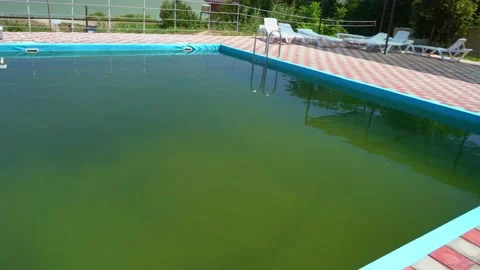 Dirty pool with green water. poor service at resort. unsanitary conditions. Vídeos de archivo 137719930