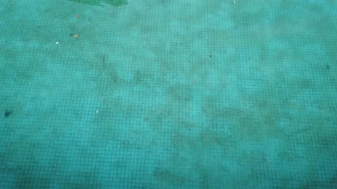 Dirty Pool Top View Stock-Footage 230434185