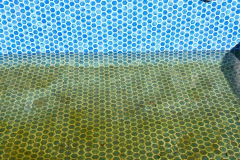 Dirty pool water with hexagonal pattern 库存照片