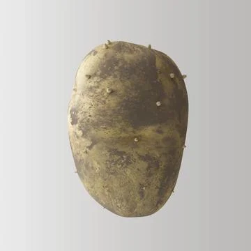 Dirty Potato Closeup White Background 3D Render Stock Illustration