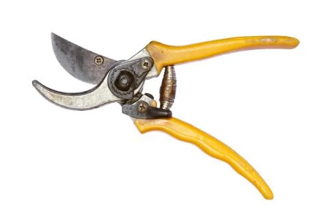 Dirty pruner Stock Photos