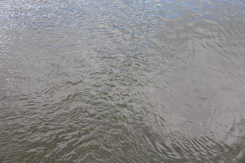 Dirty puddle at day time, full-frame background Stock Photos