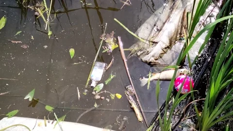 Dirty river with dead fish, various garbage, bottles and bags, bad ecology Stock Footage 133653173