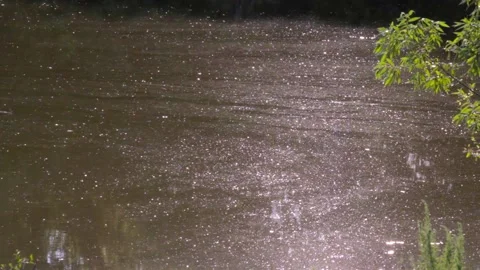 Dirty river with flying gnats with the reflection of the sun in the water Video stock 136003570