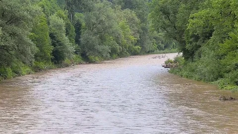 Dirty river Video stock 80020309