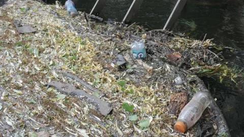 Dirty River Stock Footage 196115374